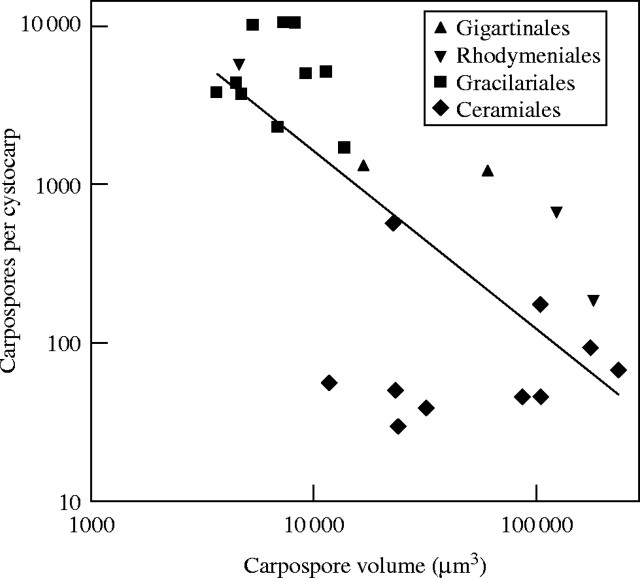 Fig. 18.
