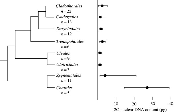 Fig. 10.