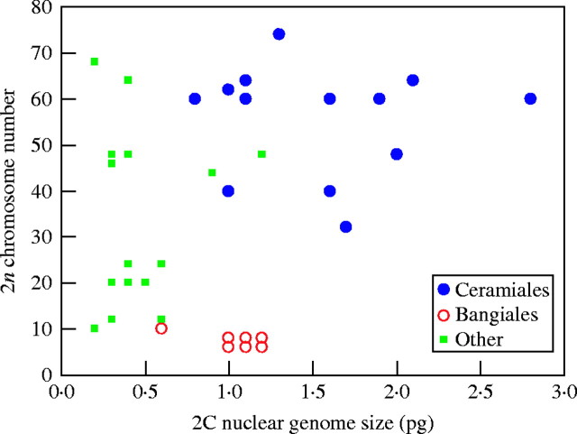Fig. 19.