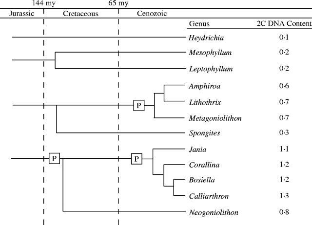 Fig. 15.