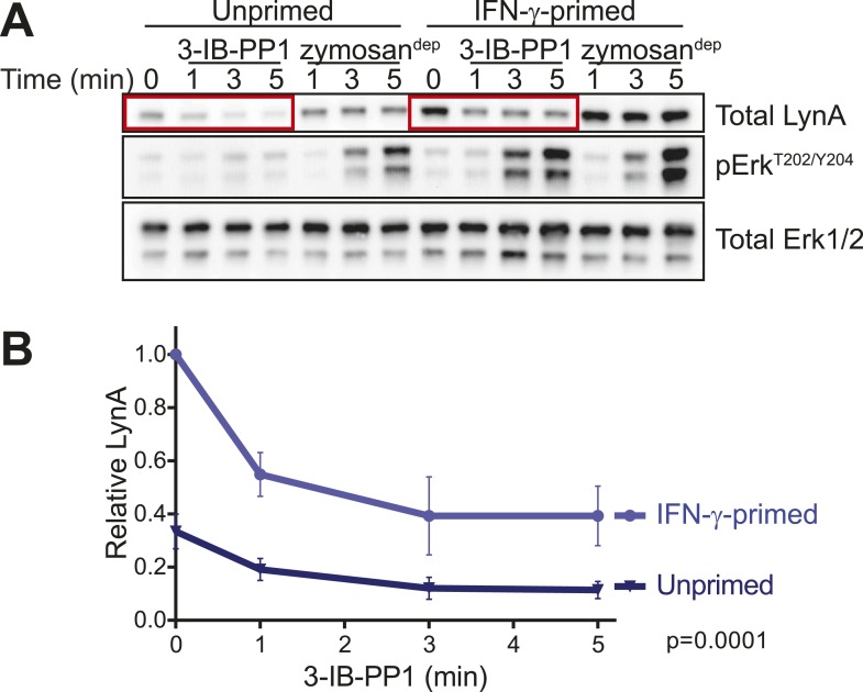 Figure 11.