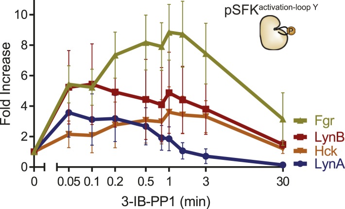 Figure 10—figure supplement 2.