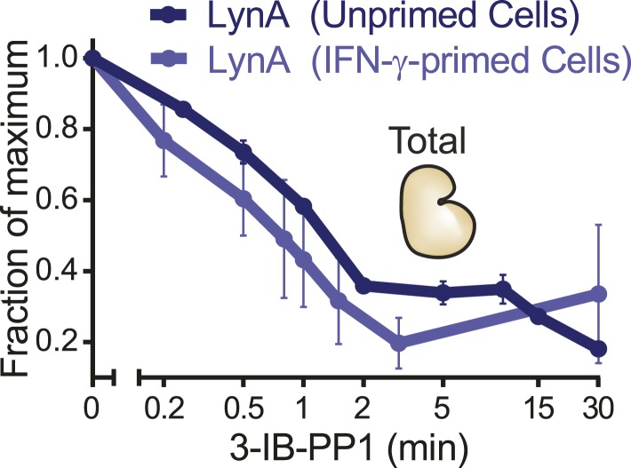 Figure 11—figure supplement 1.