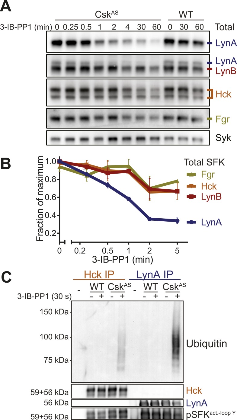 Figure 9.