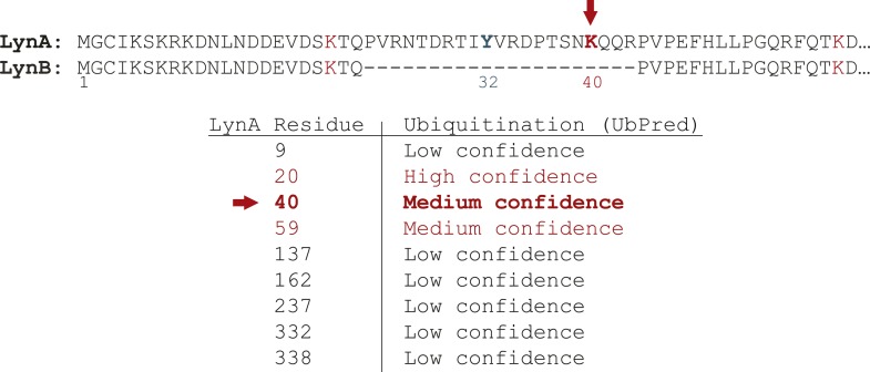 Figure 9—figure supplement 3.