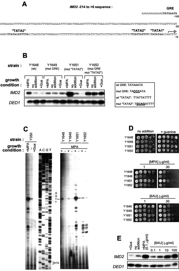 FIG.4.