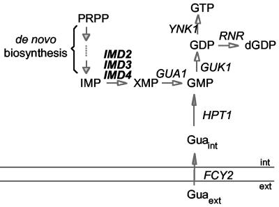 FIG. 1.