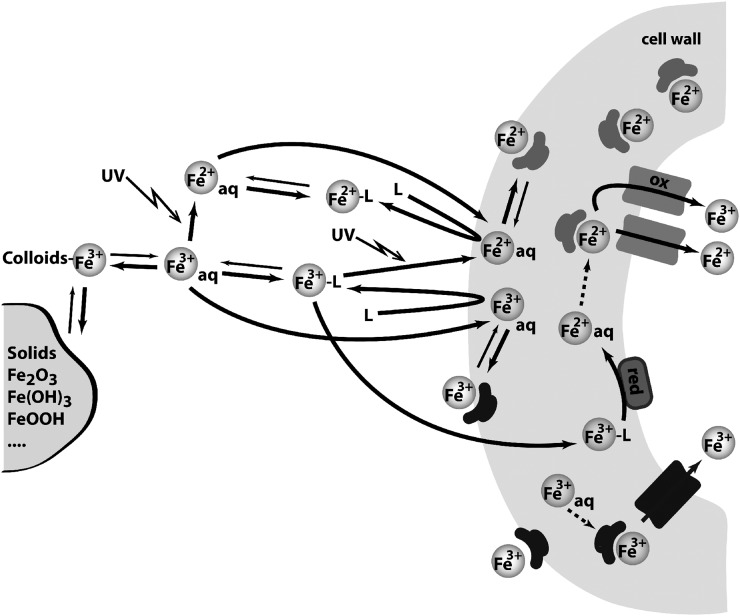 Figure 10.