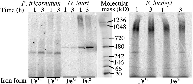 Figure 9.