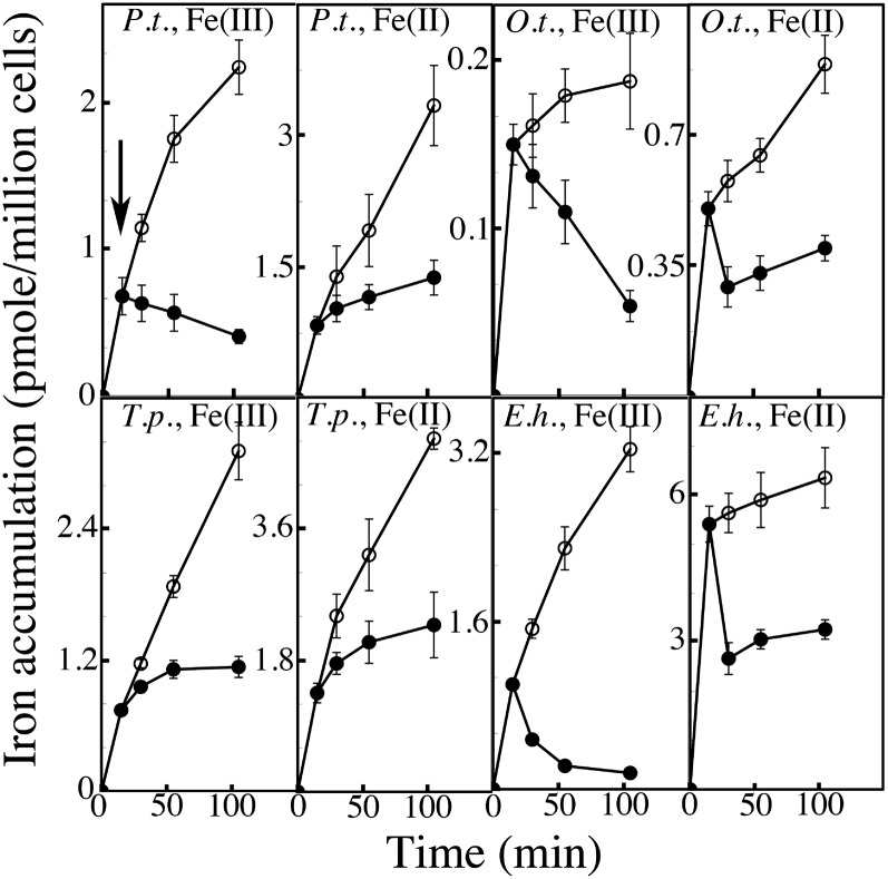 Figure 7.