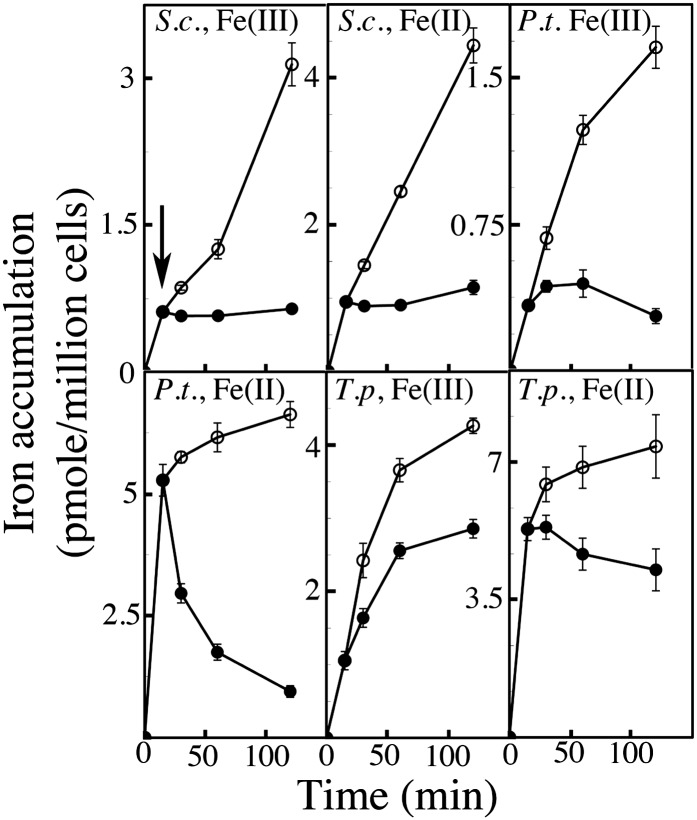 Figure 6.