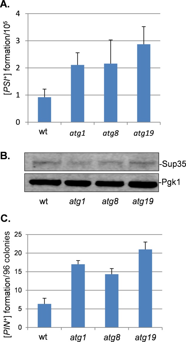 FIGURE 3: