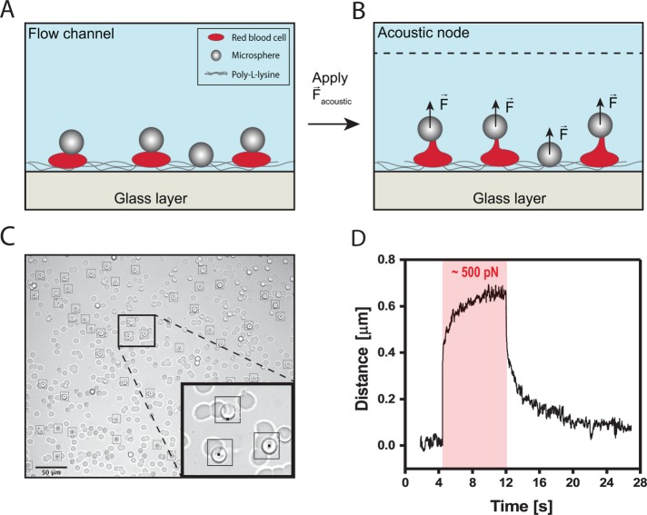 FIGURE 1: