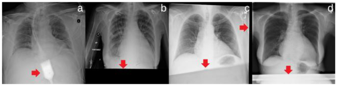 Fig. 1.