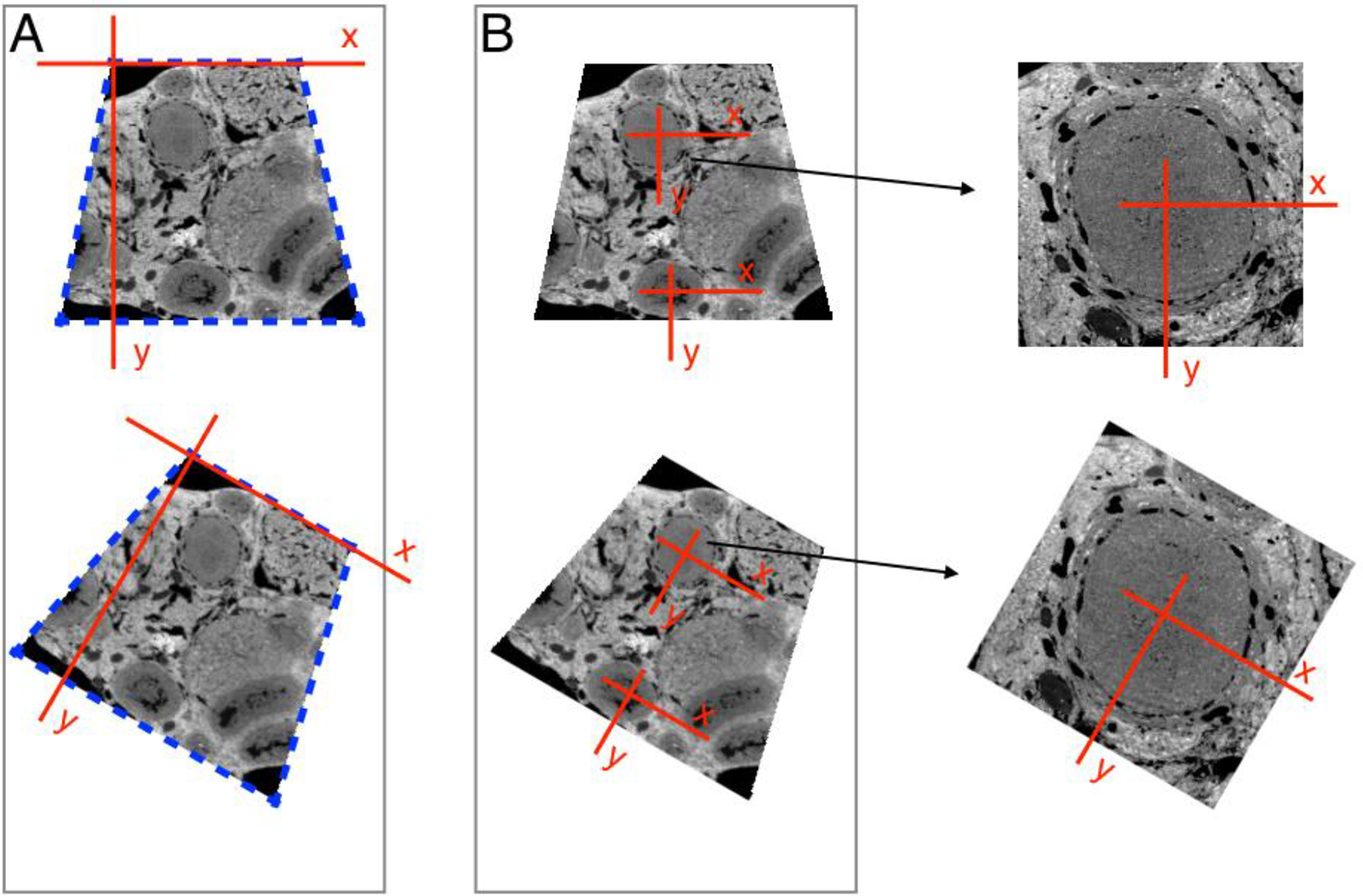 Figure 7.