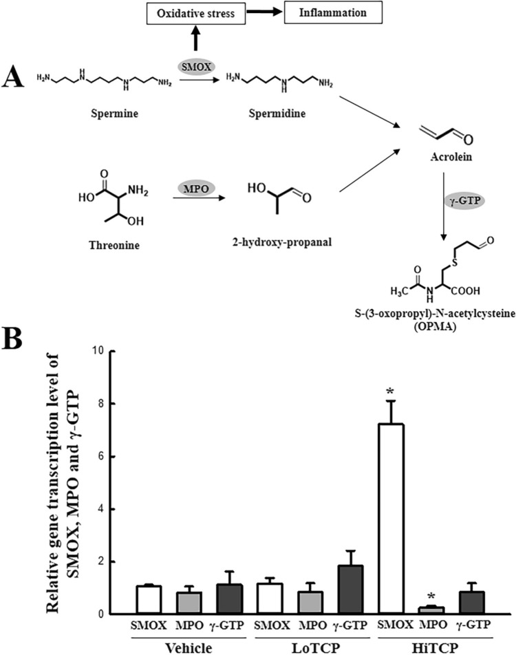 Fig. 4