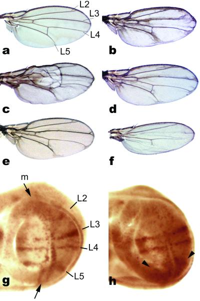 Fig 2.