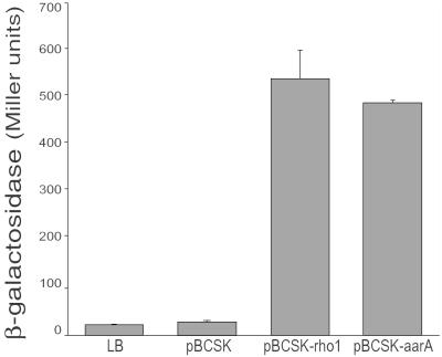 Fig 6.