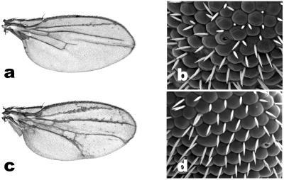 Fig 5.