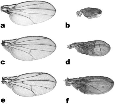 Fig 3.