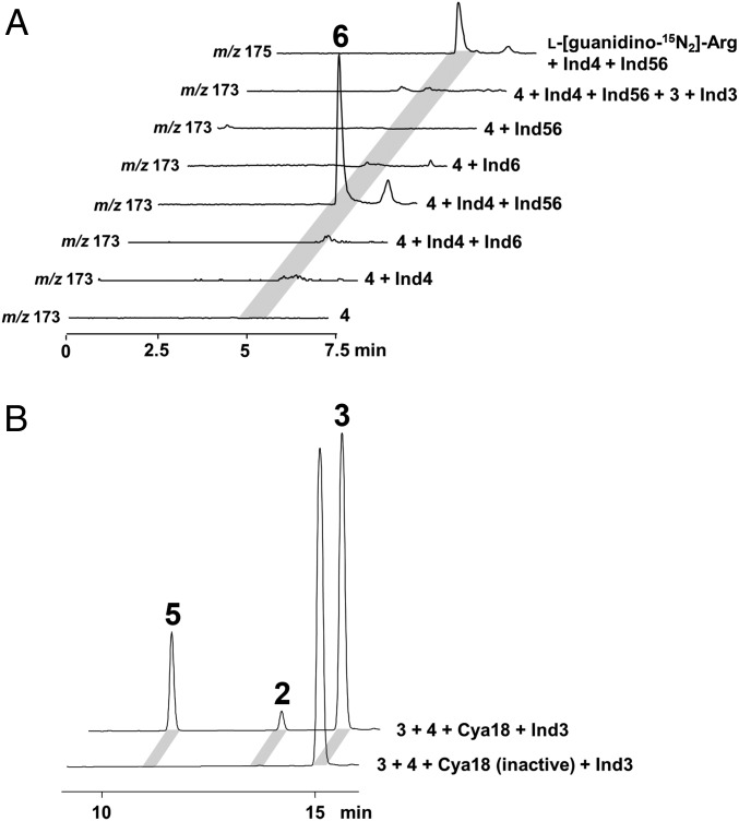 Fig. 3.