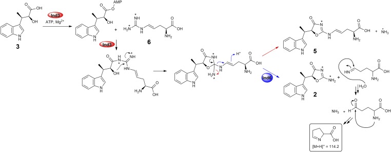 Fig. 6.