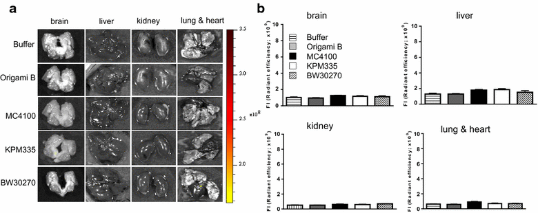 Fig. 7