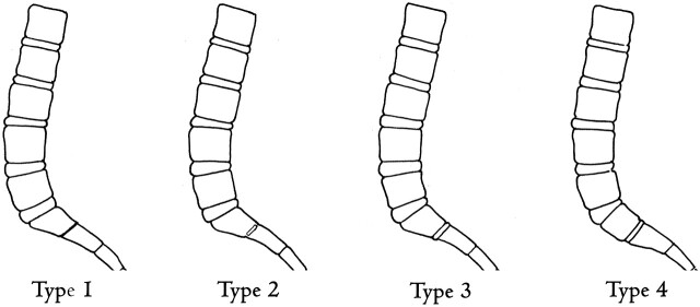 Fig 9.