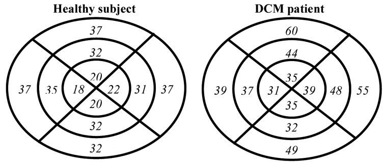 Fig. 5