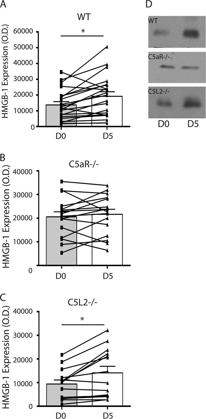 FIG 3