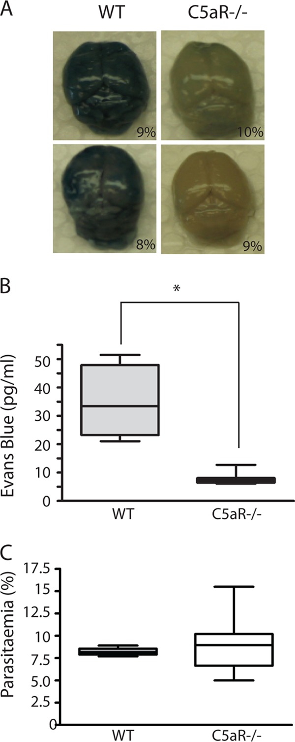 FIG 5