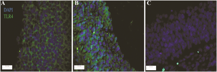 Figure 6.