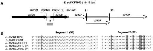 FIG. 7.