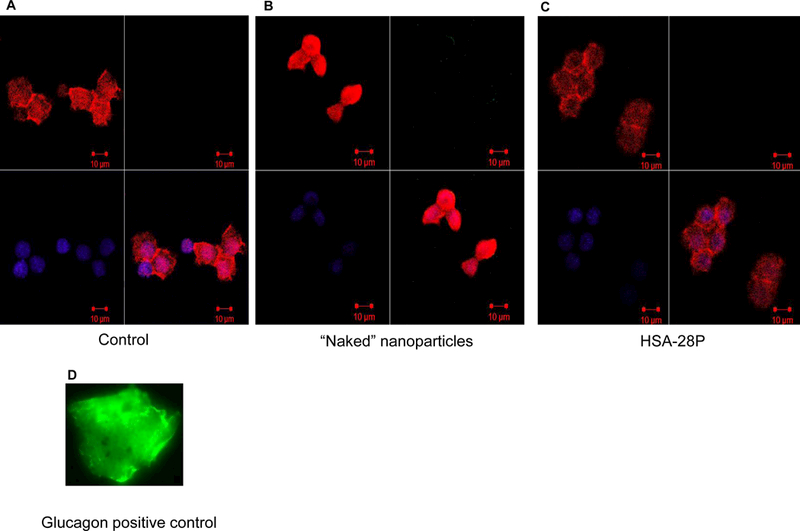 Figure 11.