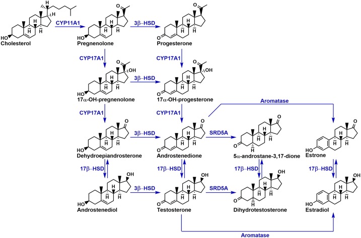 Figure 1.