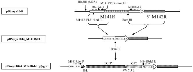 FIG. 4.