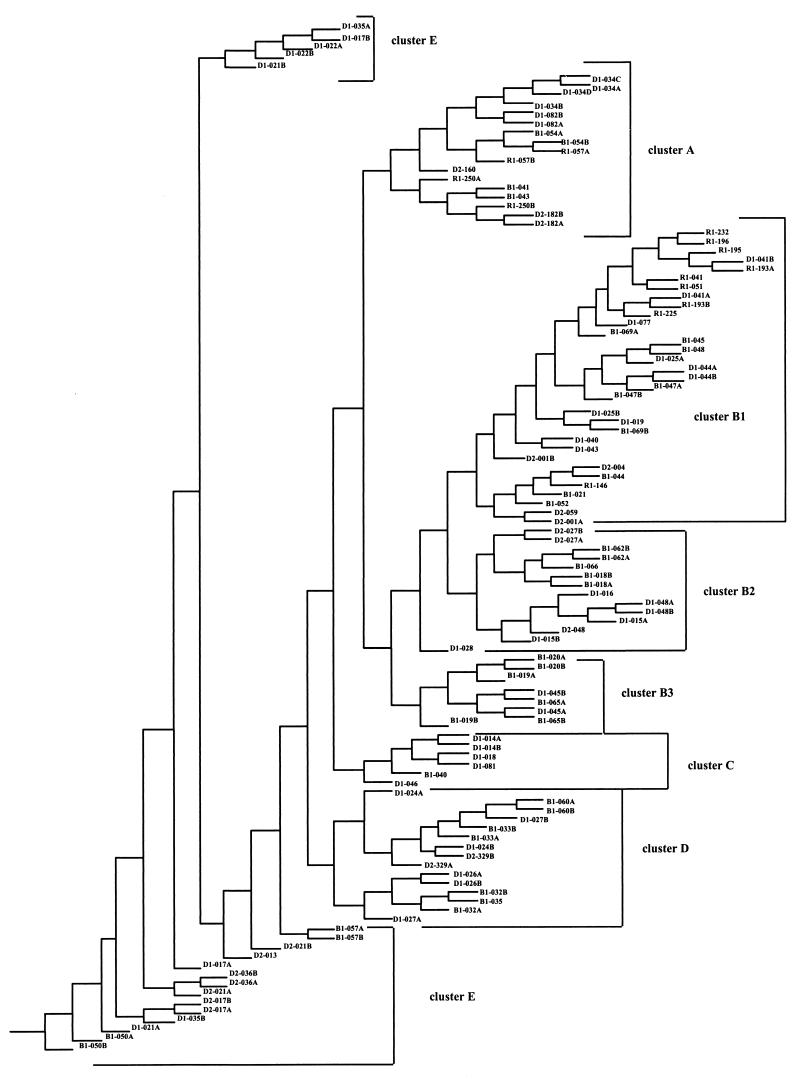 FIG. 1