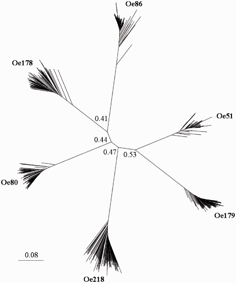 Fig. 6.—