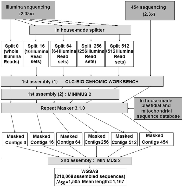 Fig. 2.—