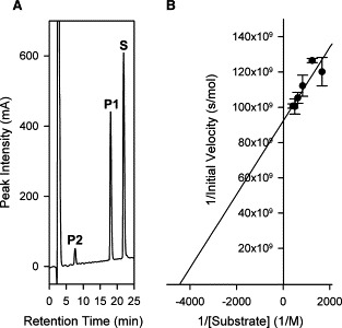 figure image