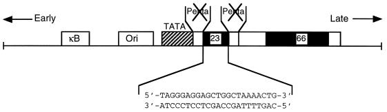 FIG. 1