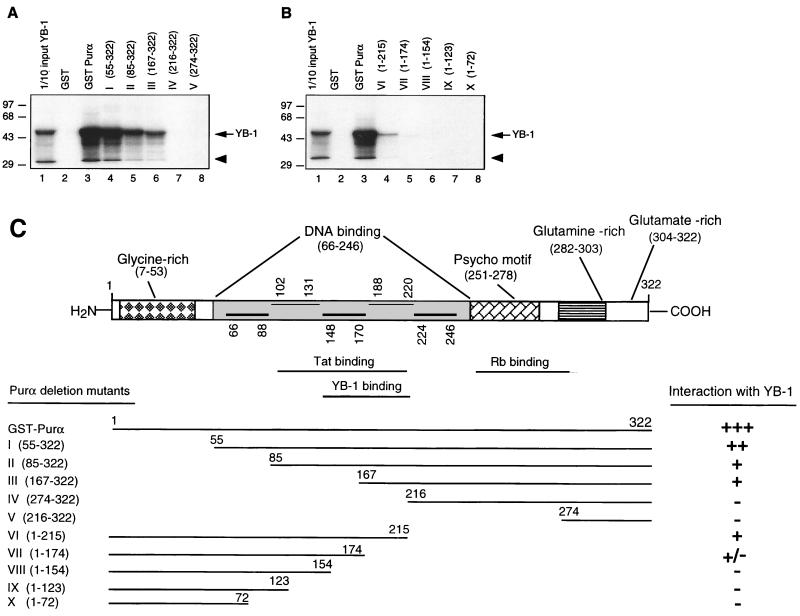 FIG. 6