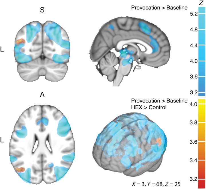 Fig. 6.