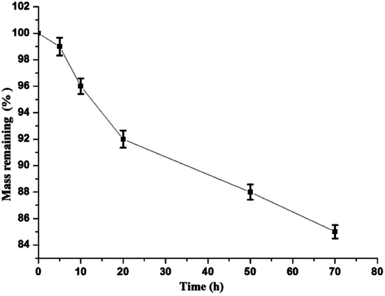 Fig. 13