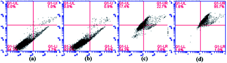 Fig. 12