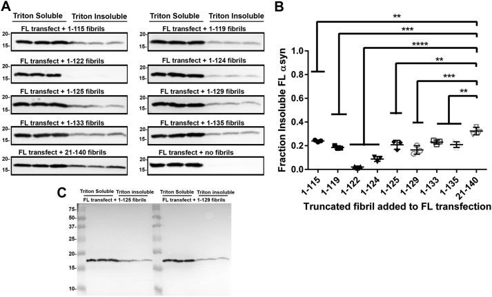 Figure 10.