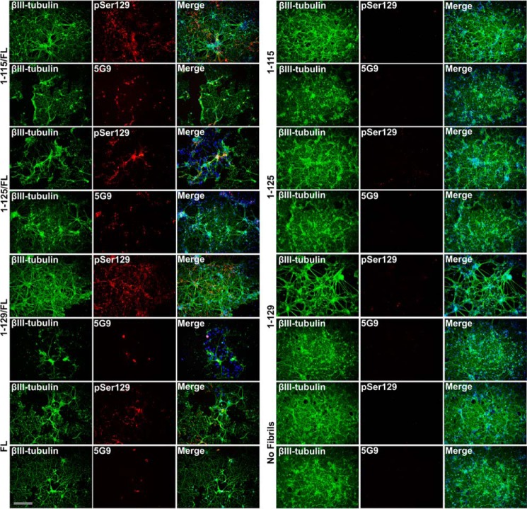 Figure 12.