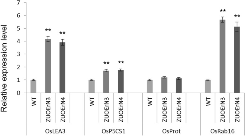 Fig. 6