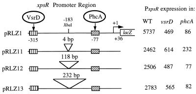 FIG. 5