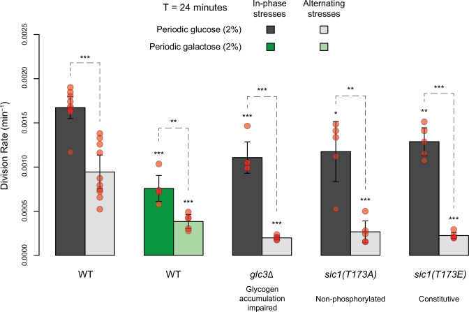 Figure 4—figure supplement 2.